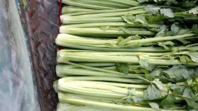代购代销各种疏菜瓜果，需要的老板联系