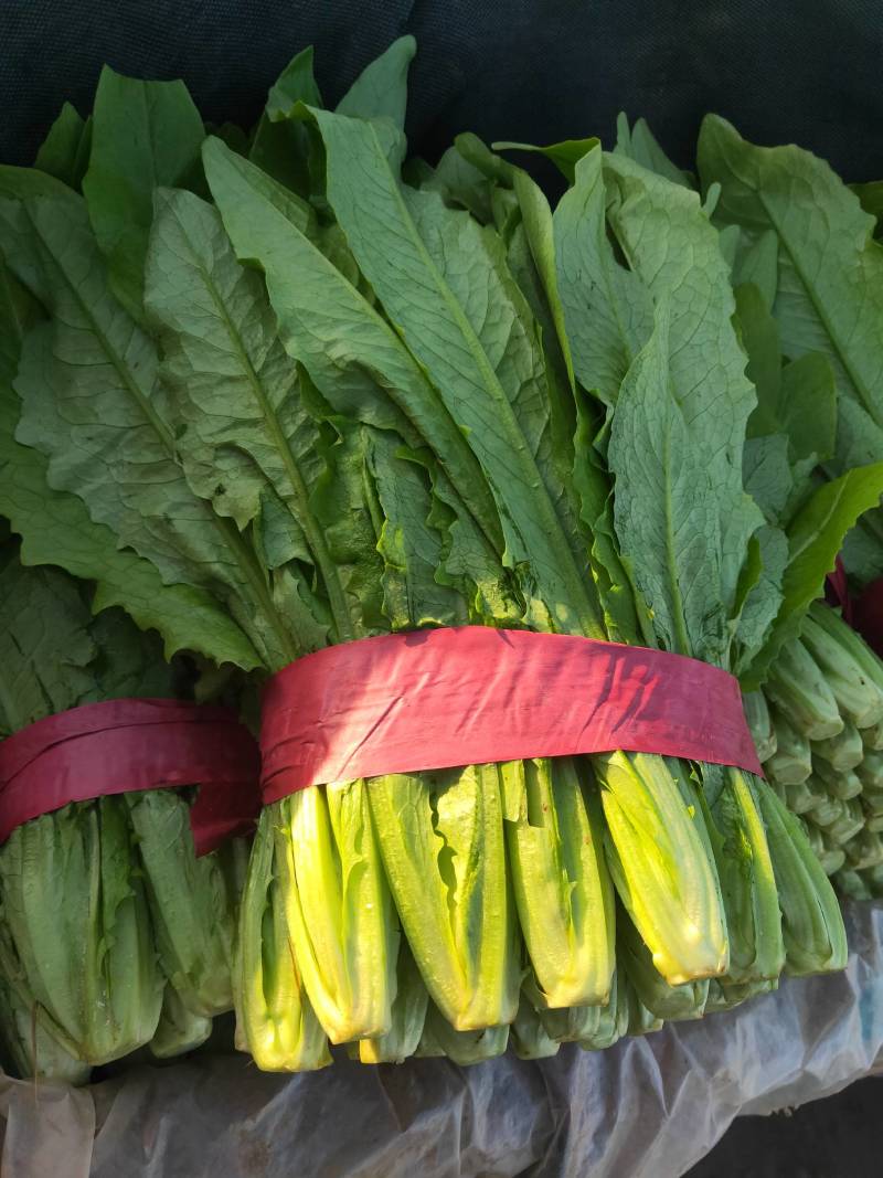 代购代销各种疏菜瓜果，需要的老板联系