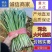 【推荐】乐亭大叶韭菜精品韭菜大量上市，货源充足品质优良