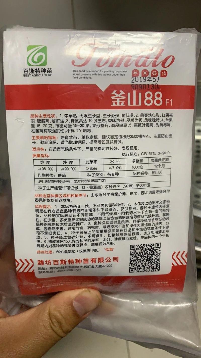 釜山88F1小蕃茄种子果实鸡心形耐低温耐贮运抗病性强商品