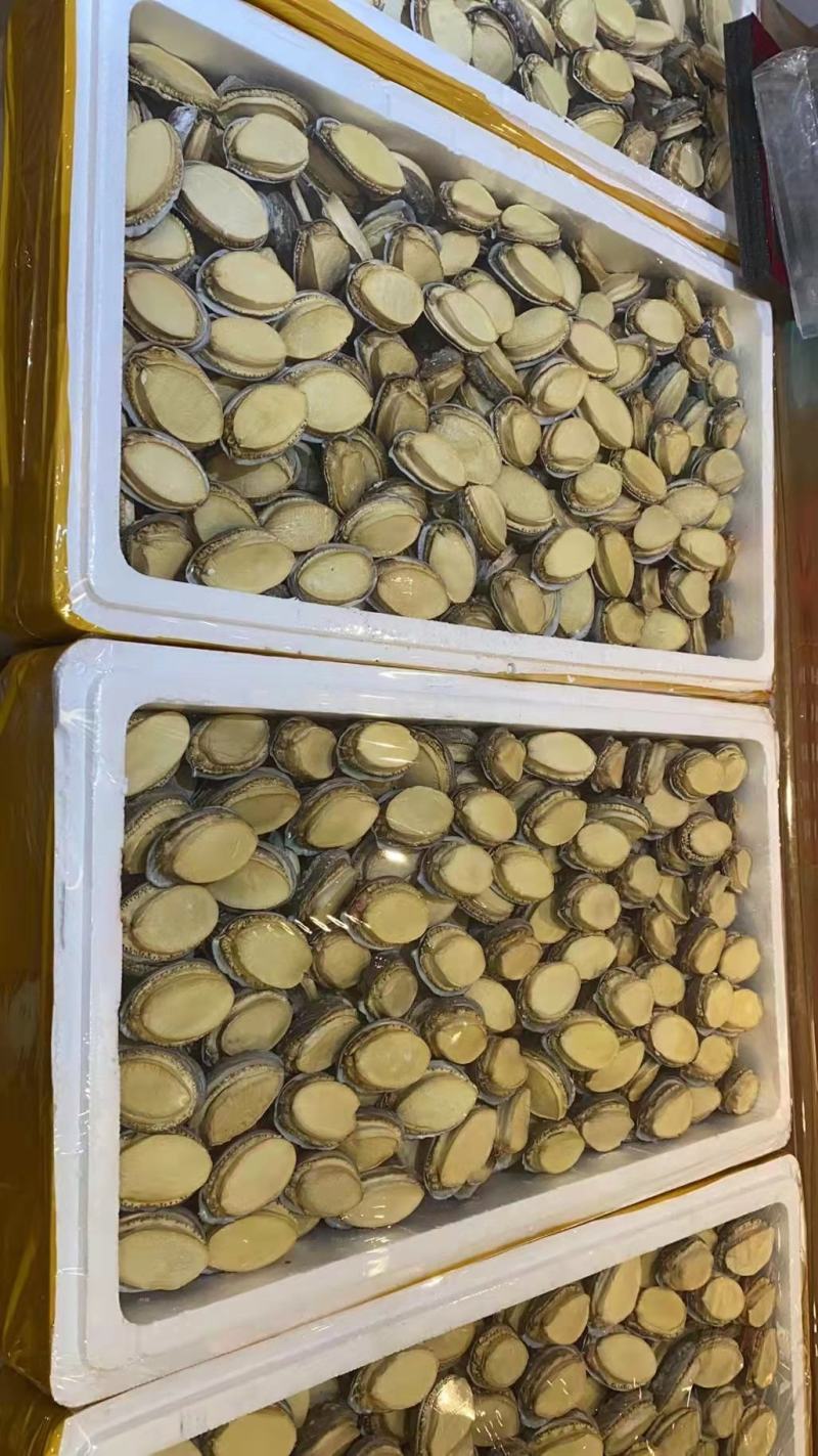 12只装干鲍鱼配送礼盒