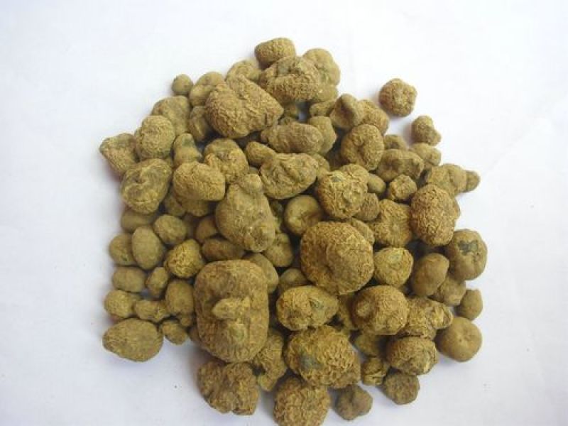 元胡个子片子颗粒.中药材批发.质量保证规格齐全.