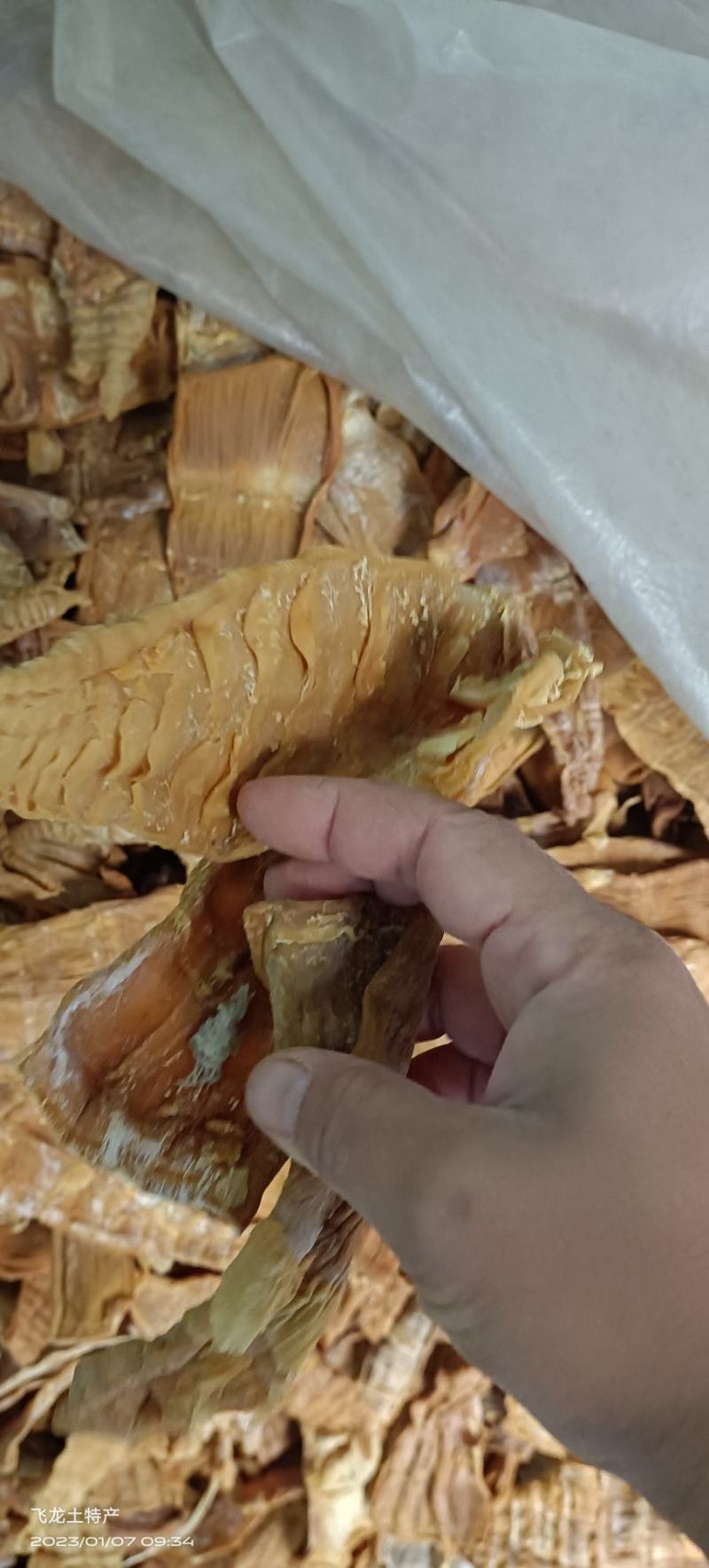 英德本地农家干爽笋干