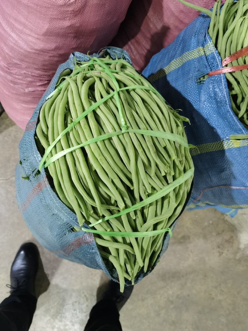 扁豆四季豆白不老无筋豆统货赶大集摆地摊，社区平台专用