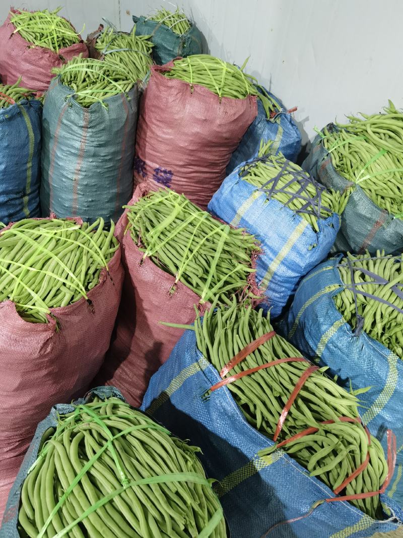 扁豆四季豆白不老无筋豆统货赶大集摆地摊，社区平台专用