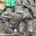 深山农产品黑木耳肉厚干净无杂质1000克包邮