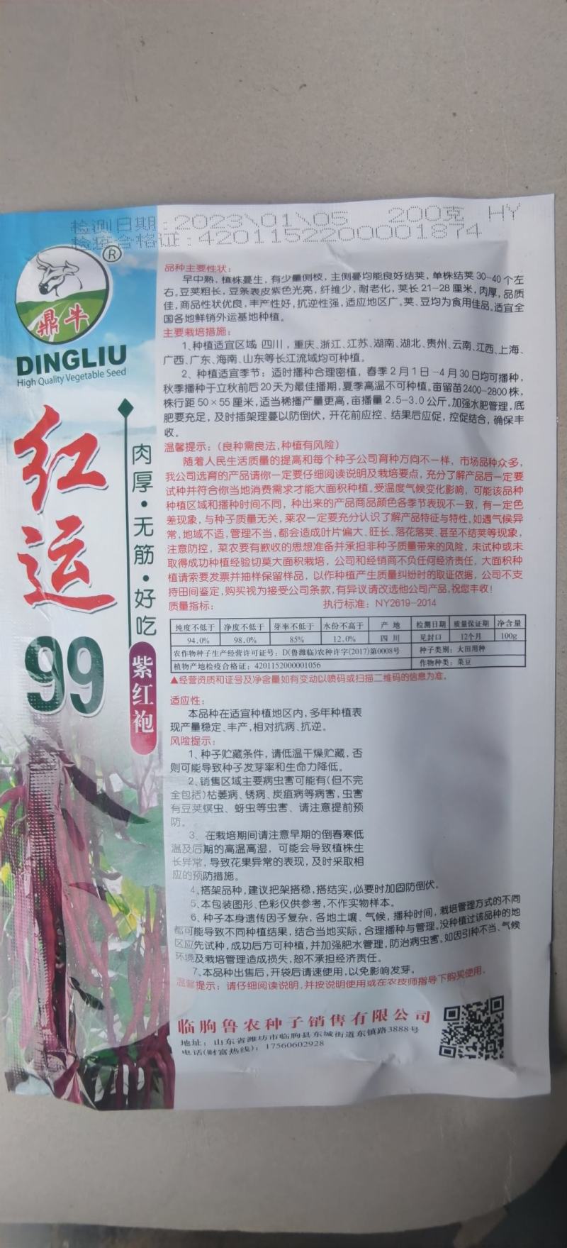 红色四季豆种子红运99厚肉型紫红袍无筋架豆