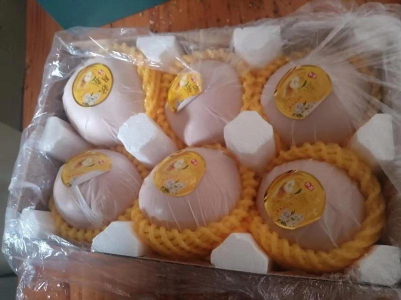 阳光玫瑰