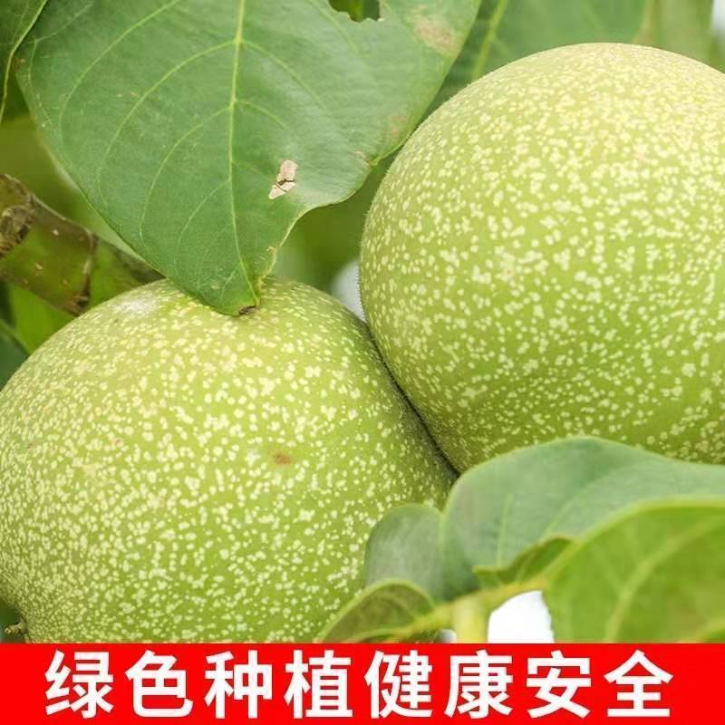 陕西秦岭老树核桃硬壳厚皮干核桃孕妇儿童零食健康好吃