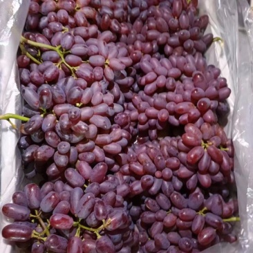 克瑞森葡萄