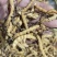 虫草冬虫夏草批发一手货源量大从优欢迎采购下单