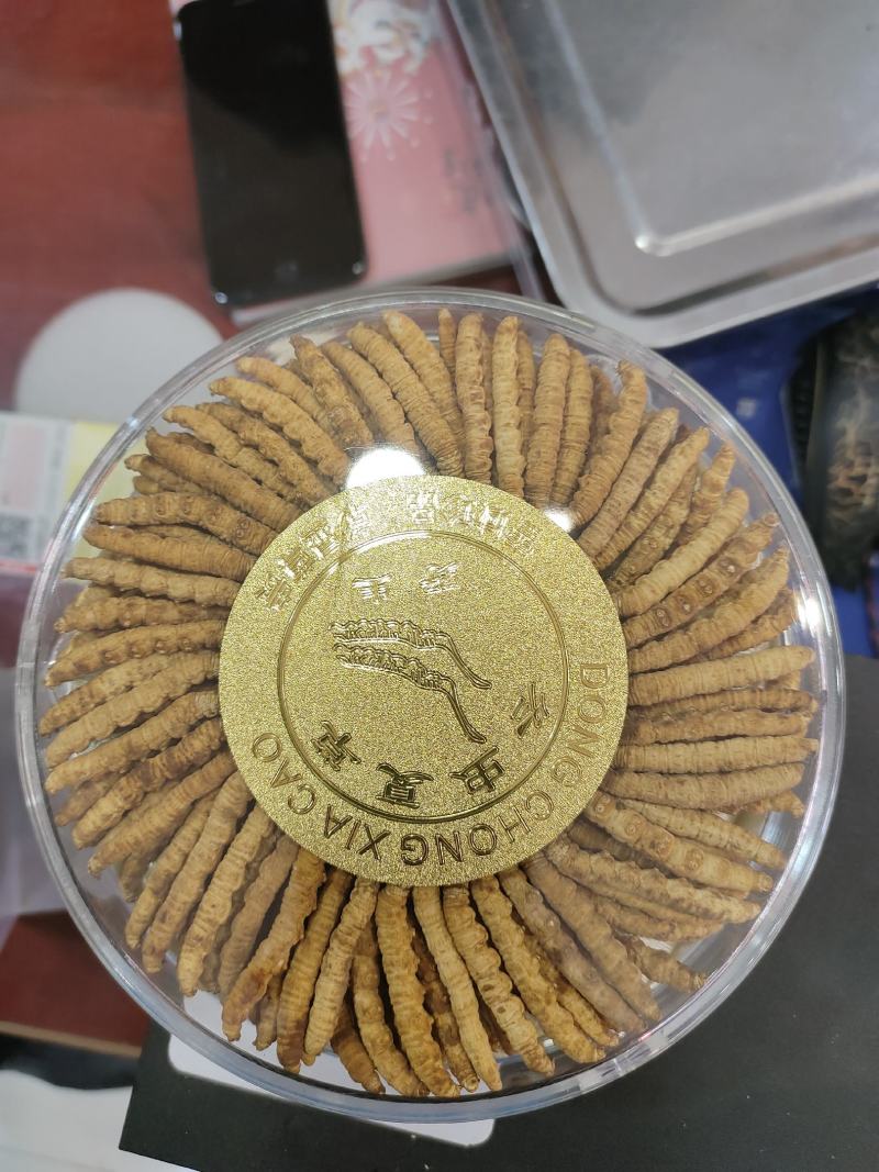 虫草冬虫夏草批发一手货源量大从优欢迎采购下单