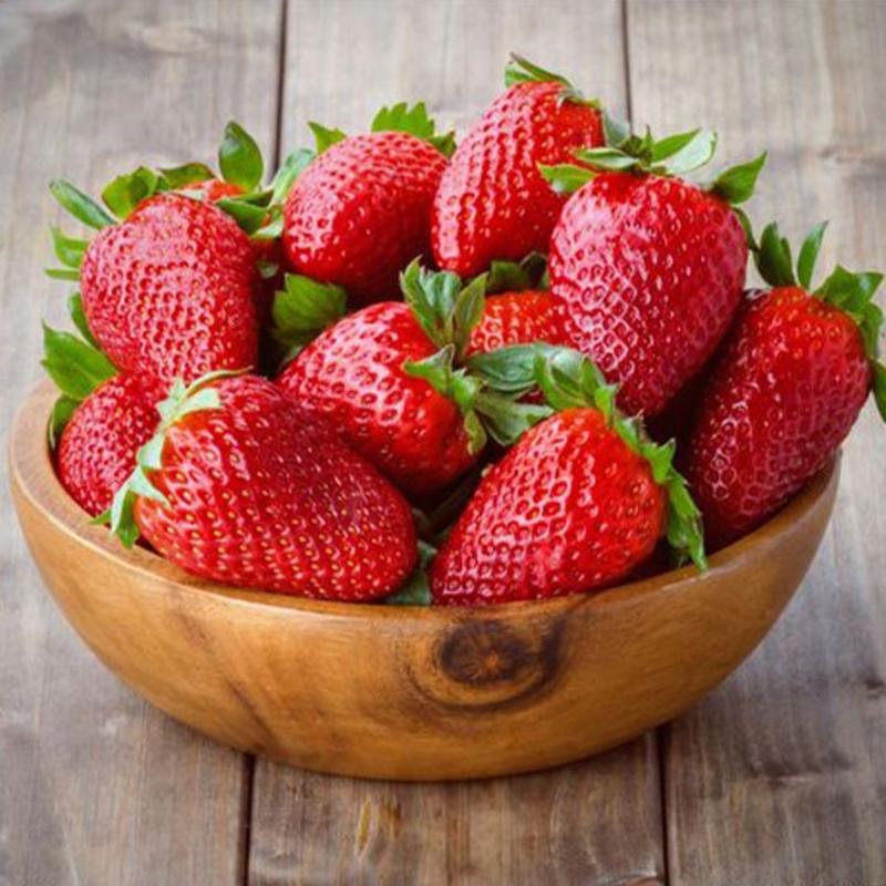 精品红颜奶油草莓大量上市产地货源代办代发全国配送