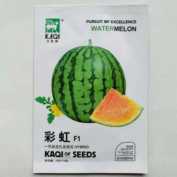 黄瓤早熟西瓜种子卡其彩虹西瓜种子礼品小西瓜种子高产西瓜种