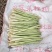 精品香茅长期稳定供货规格应有尽有价格实惠可视频看货