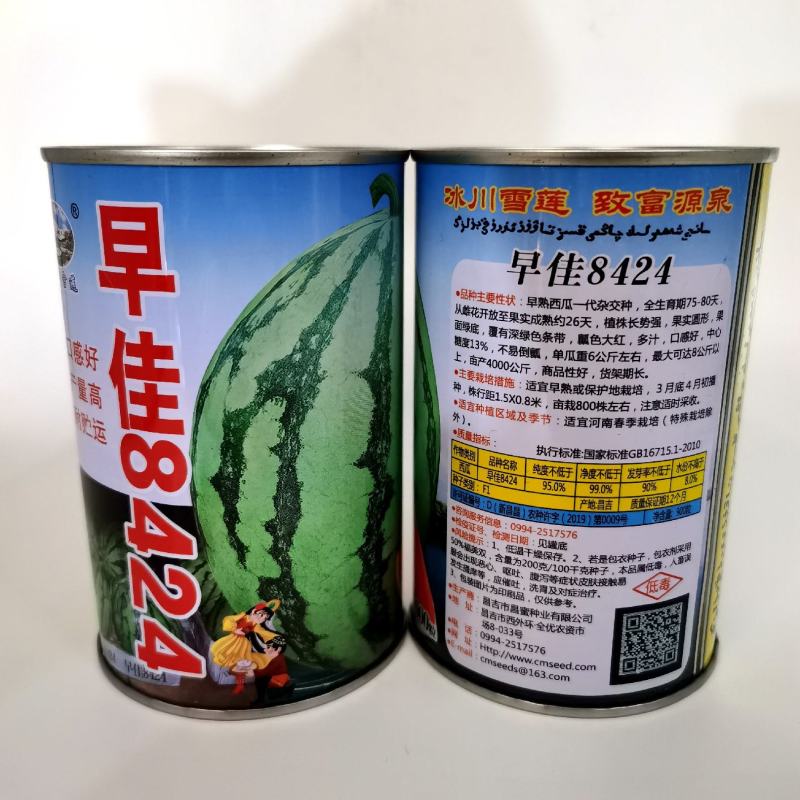 早佳8424麒麟少籽西瓜种子早熟杂交一代种无籽西瓜种子