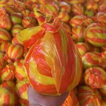 湖南怀化安江冰糖柚，原产地，整车批发，口感清甜，保证品质