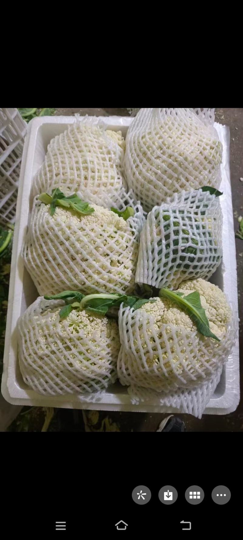 河南菜花有机花菜现货直发代发代加工货源足质量