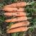 三红胡萝卜带叶半叶加工按需发货货源足代收代发
