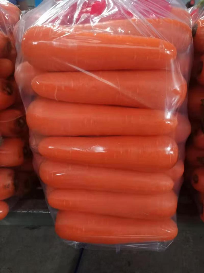 三红胡萝卜水洗加工冷库出货规格齐全代收代发代加工
