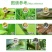 宽扑30%氯虫苯甲酰胺水稻二化螟甘蔗玉米钻心虫卷叶螟农药