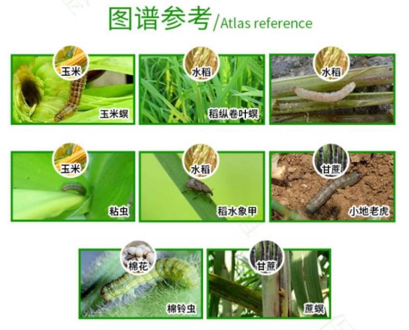 宽扑30%氯虫苯甲酰胺水稻二化螟甘蔗玉米钻心虫卷叶螟农药