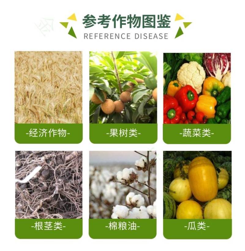 宽扑30%氯虫苯甲酰胺水稻二化螟甘蔗玉米钻心虫卷叶螟农药