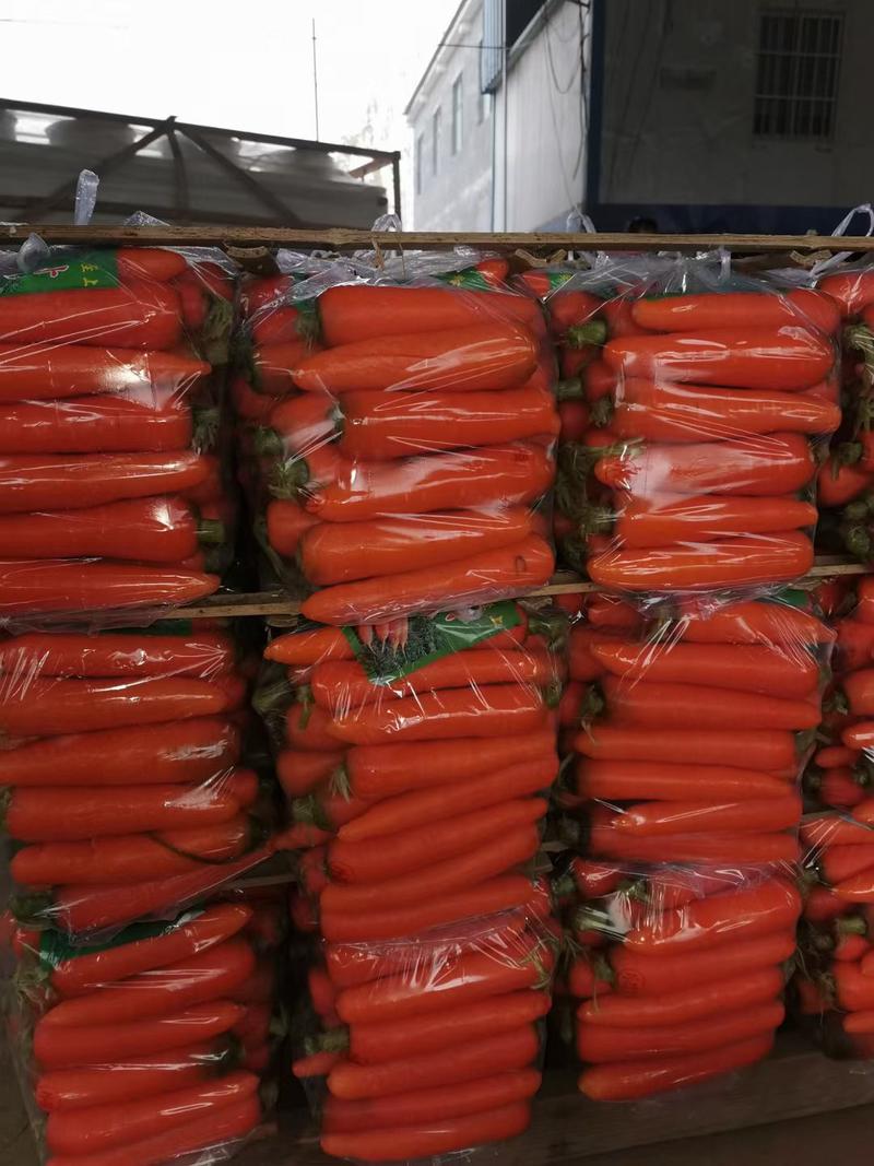 北京包胡萝卜杂交三红胡萝卜20斤包货源充足