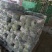福建精品甘蓝中甘