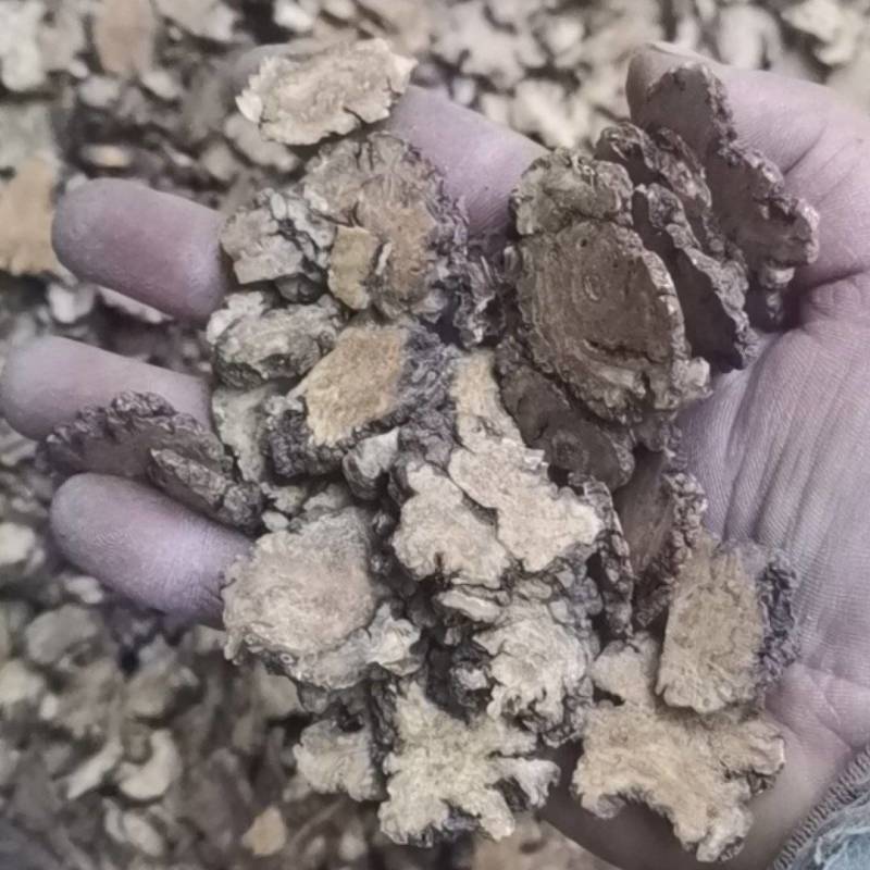 川芎，产地四川，非基地货，农户少量种植，含量足