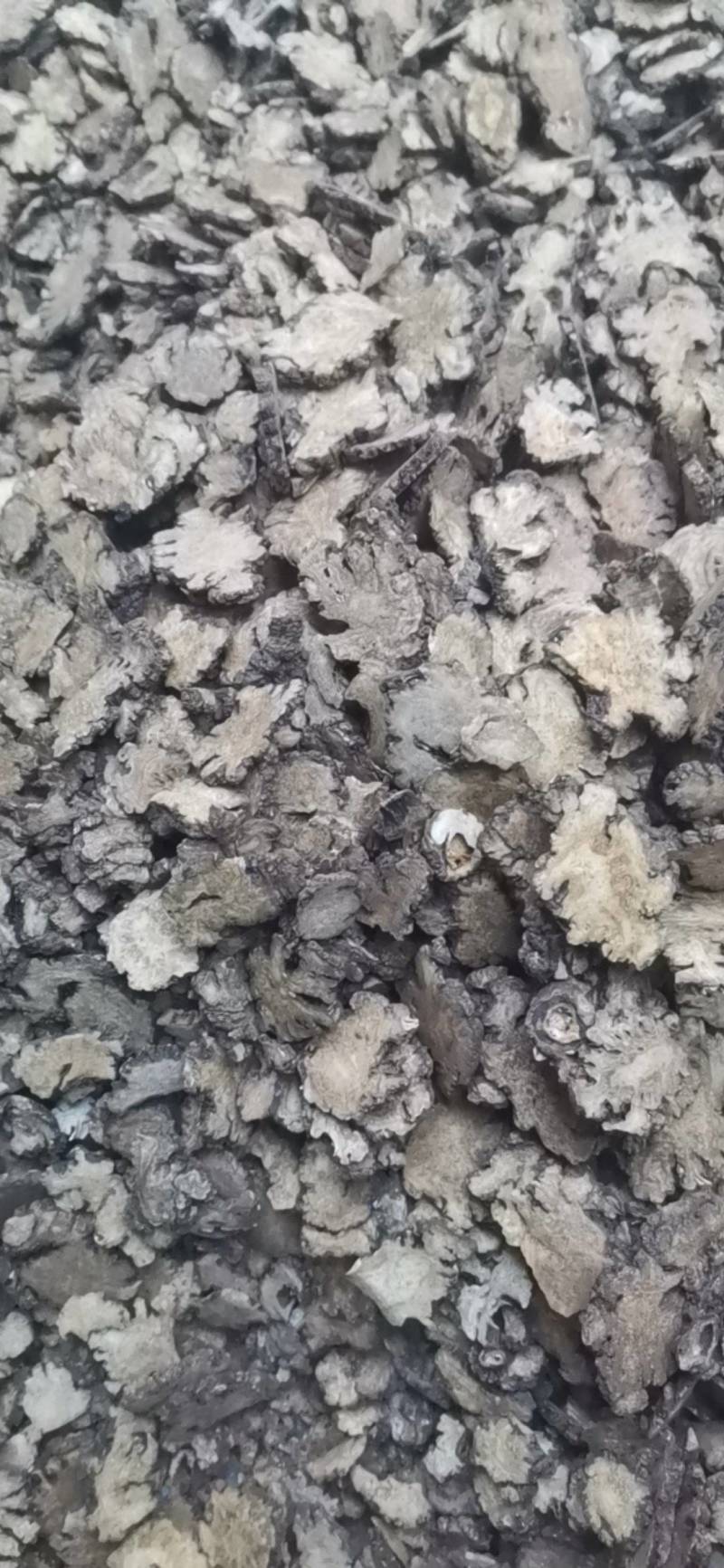 川芎，产地四川，非基地货，农户少量种植，含量足