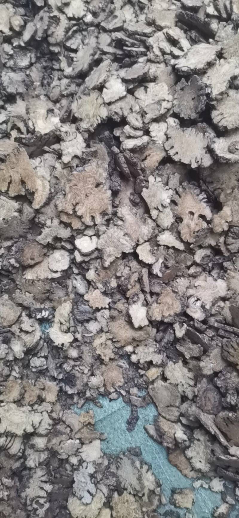 川芎，产地四川，非基地货，农户少量种植，含量足
