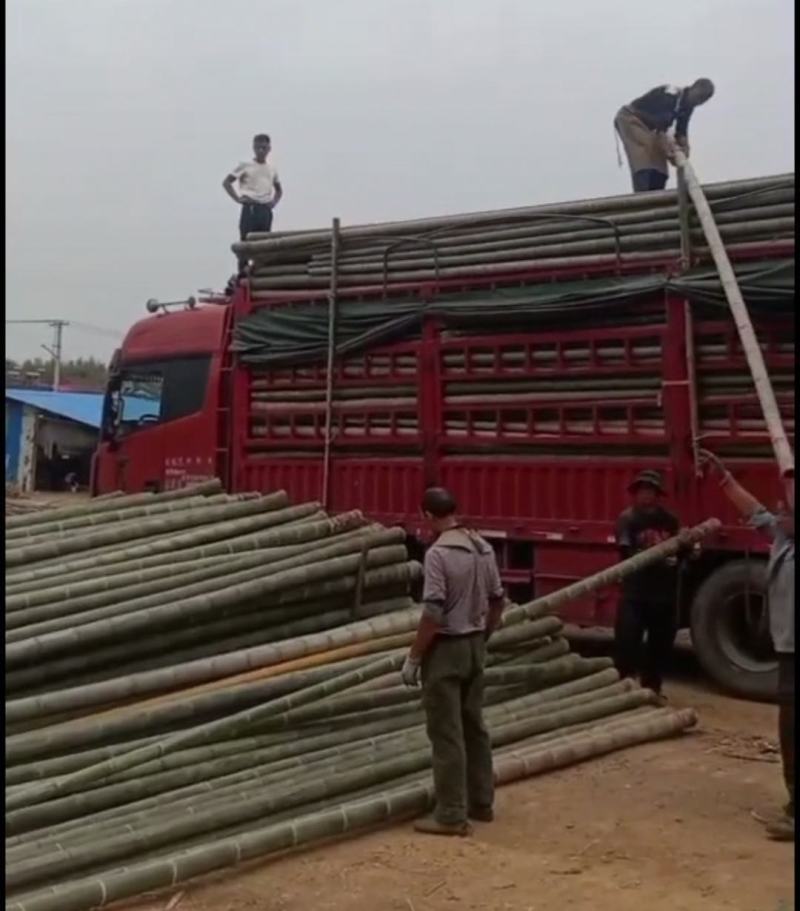 楠竹斑竹毛竹百家竹金竹各个规格可以定做的