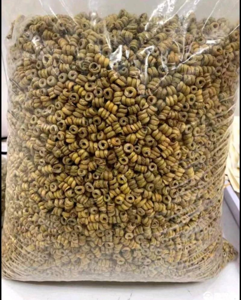 霍山石斛一级选装霍山米斛一手货源量大从欢迎采购下单
