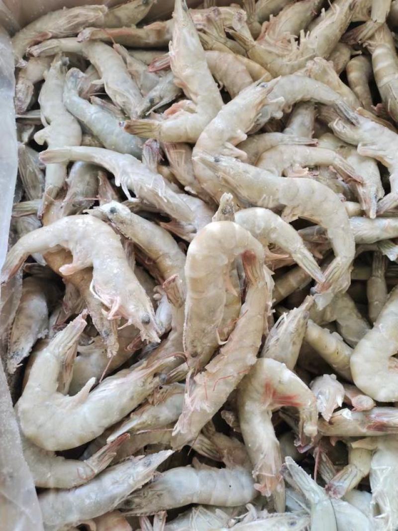 活单冻虾规格40条