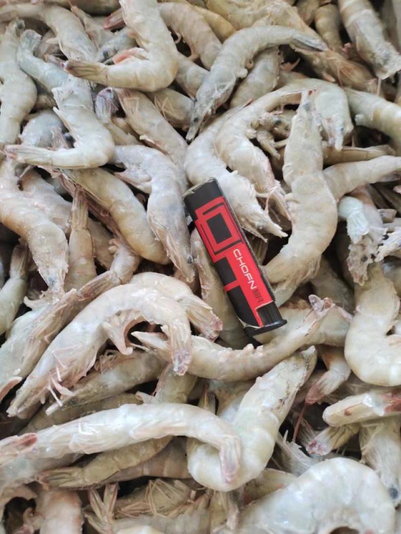 活单冻虾规格40条