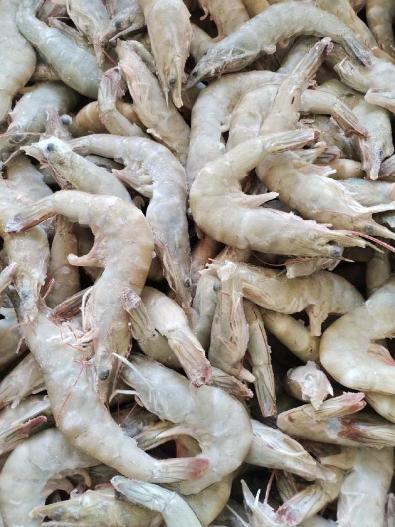 活单冻虾规格40条
