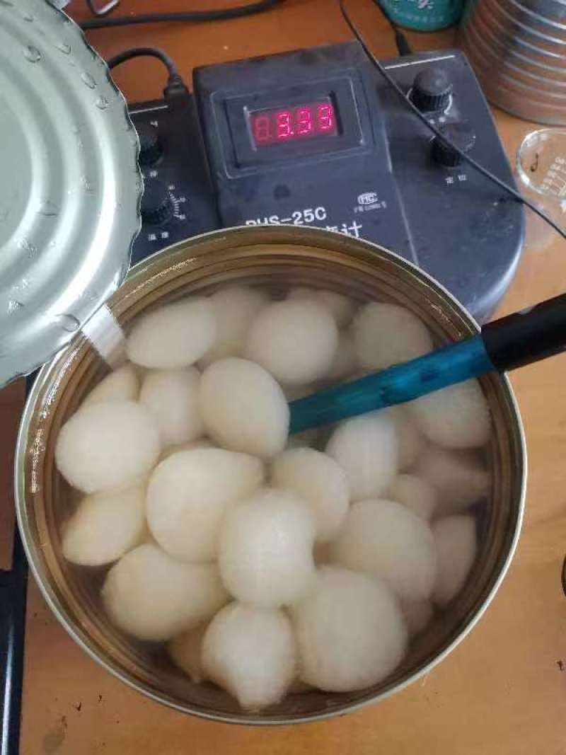 雪梨罐头，产地供应，一手货源，质量保证，全国发货