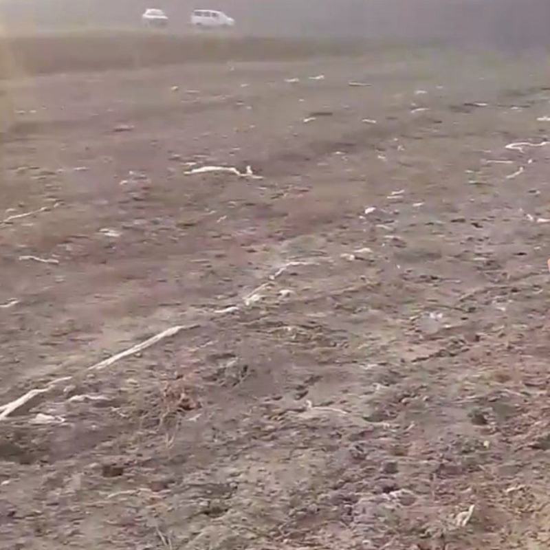 沙土地承包