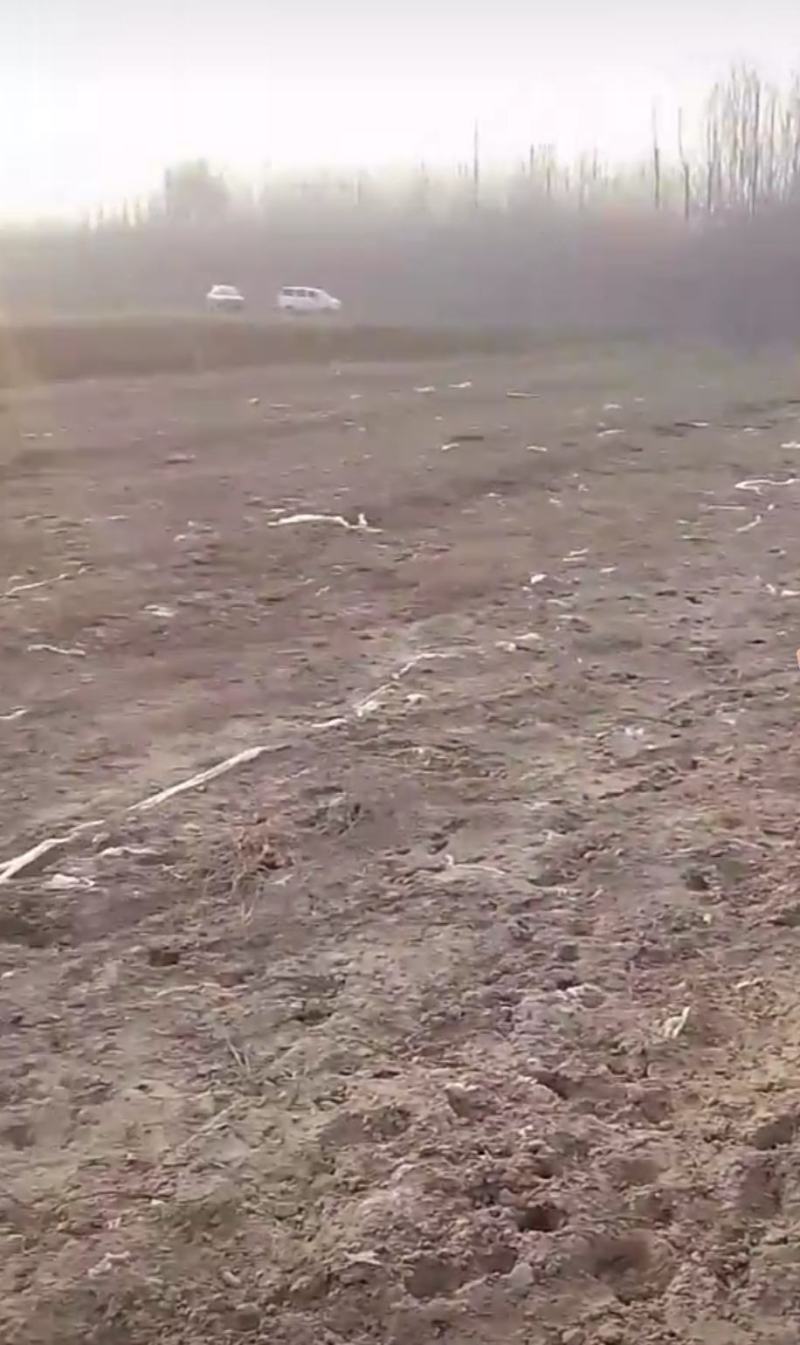 沙土地承包