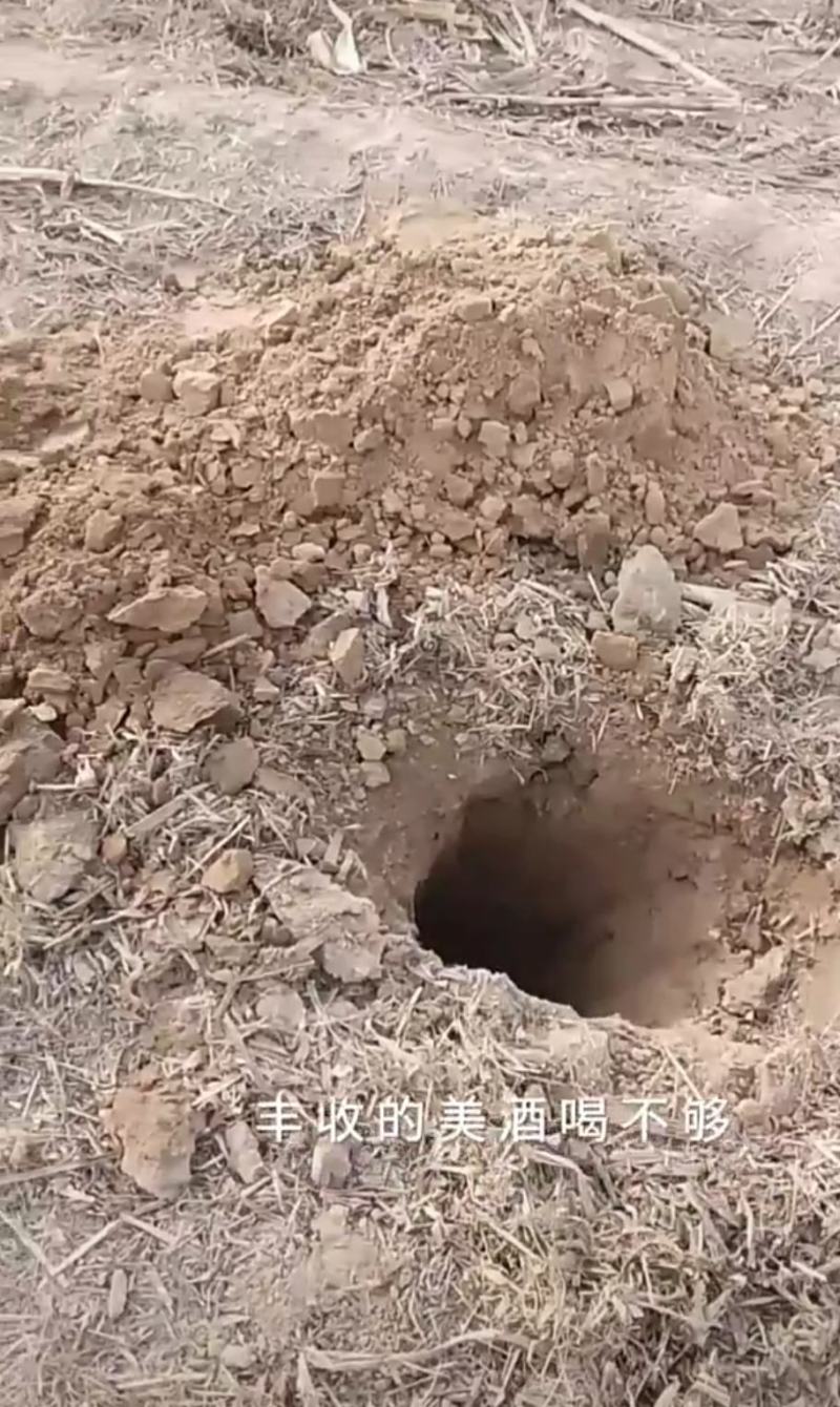 沙土地承包