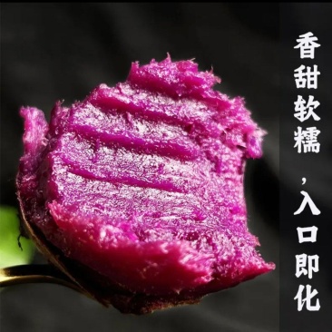【紫薯】泰紫薯一号，支持各种包装，一件代发包售后常年供应