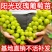 阳光玫瑰葡萄占木有5bb夏黑3309根系现挖现发南北种植
