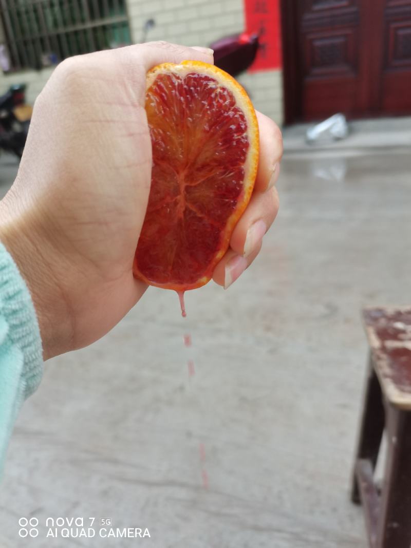 血橙大量好货供应，颜色好，皮薄多汁