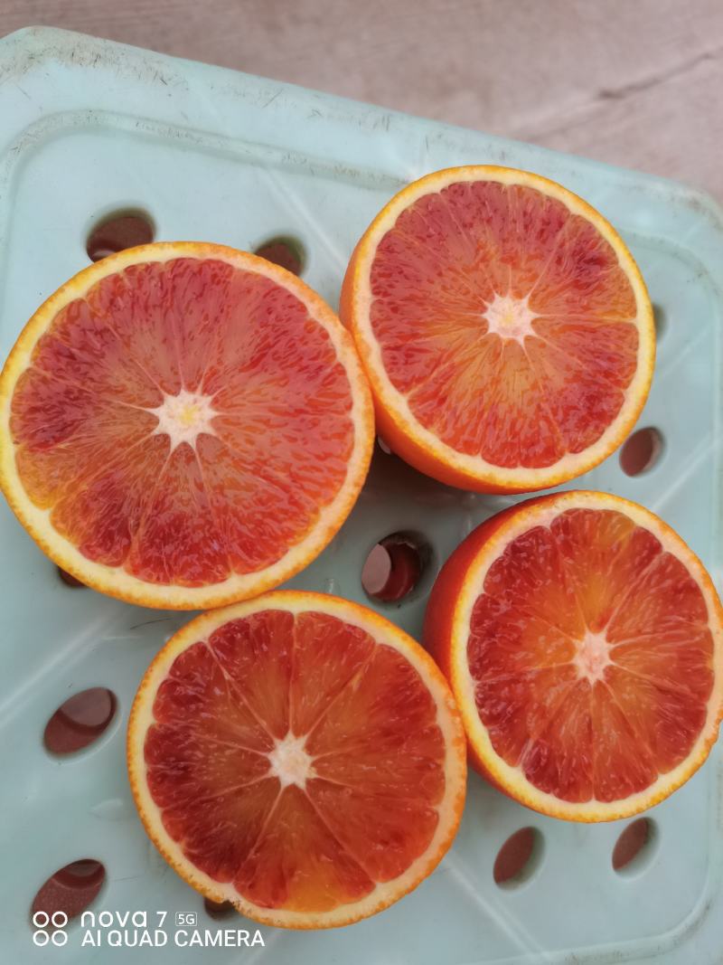 血橙大量好货供应，颜色好，皮薄多汁