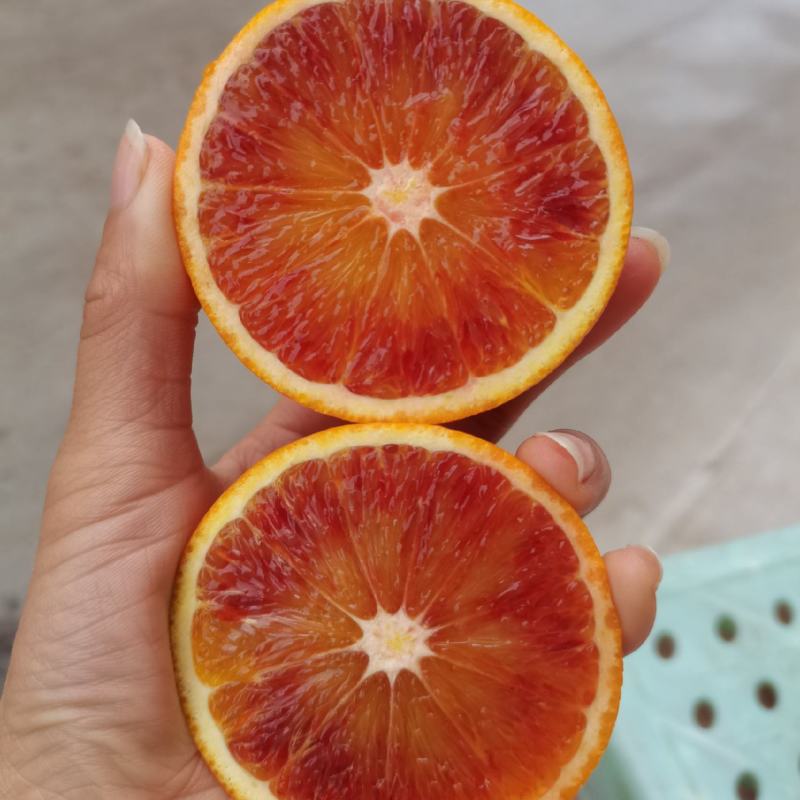 血橙大量好货供应，颜色好，皮薄多汁