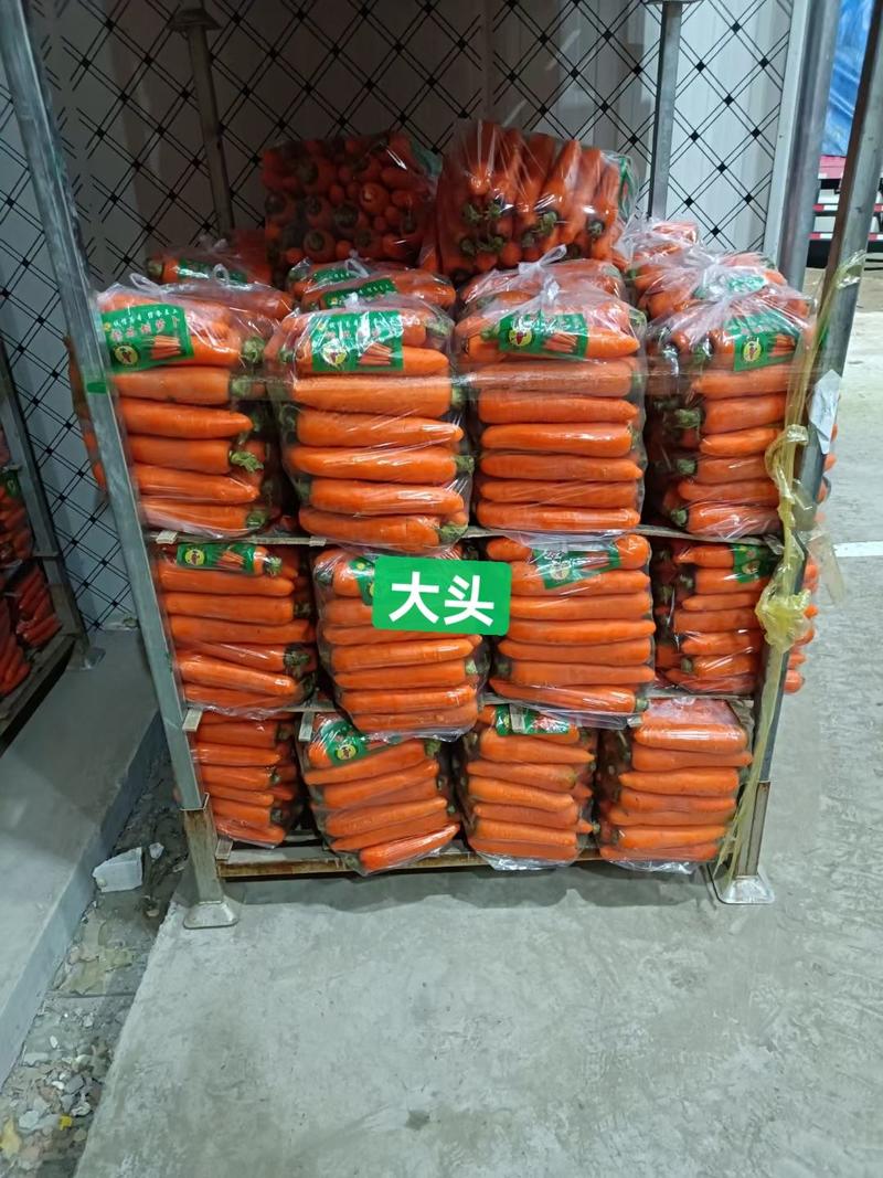 胡萝卜三红胡萝卜水洗土货中条小条大头各种包装都有