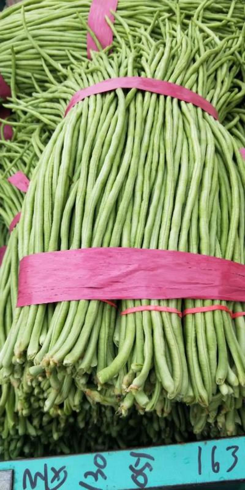 河南豆角青条豆角大量供应中价格便宜欢迎来电