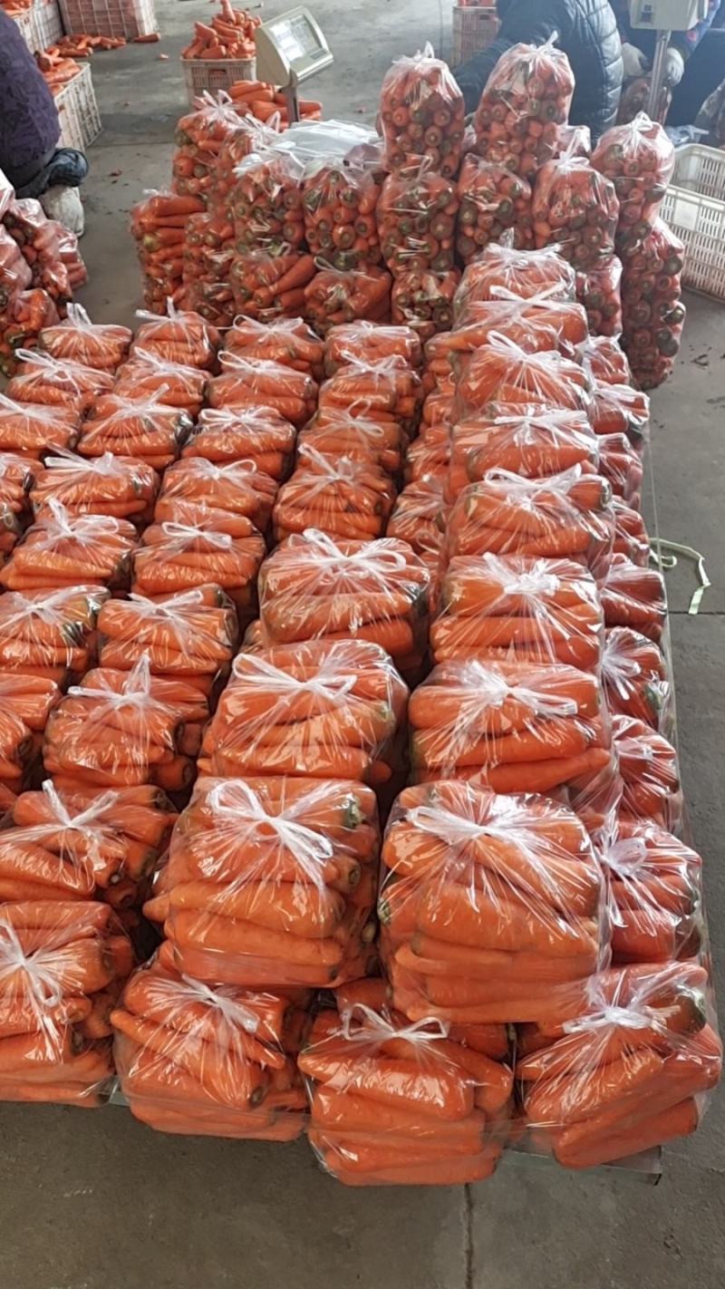 大量供应2两以上，水洗胡罗卜