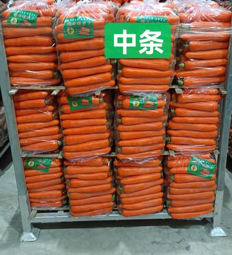 胡萝卜三红胡萝卜水洗土货中条小条大头各种包装都有